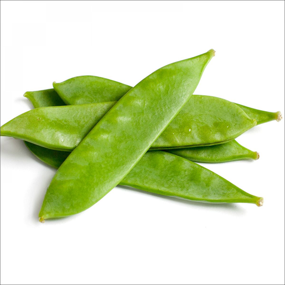 Broad Beans Price in Chennai, avarakai, per kg, rate, market, vegetable, wholesale
