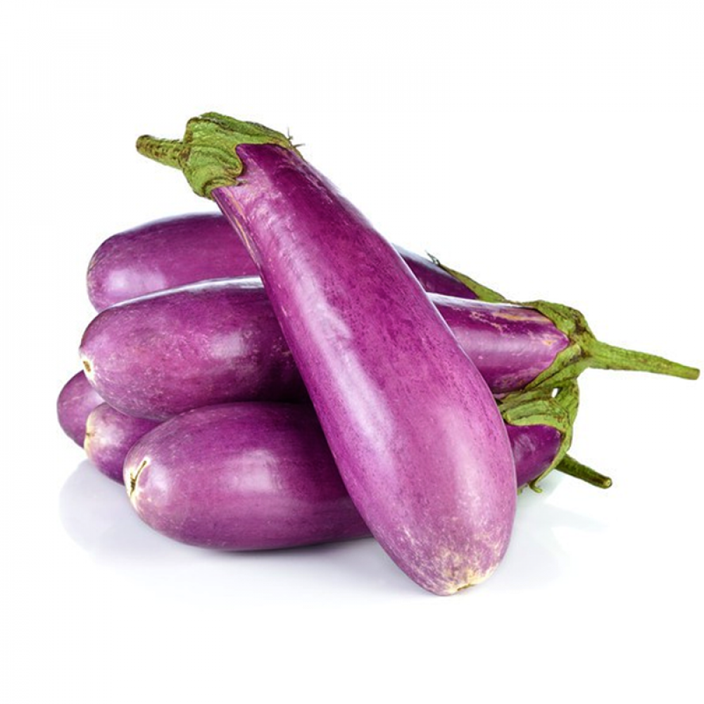 Ujala Brinjal Price in Chennai, ujala kathirika, per kg, rate, market, vegetable, wholesale