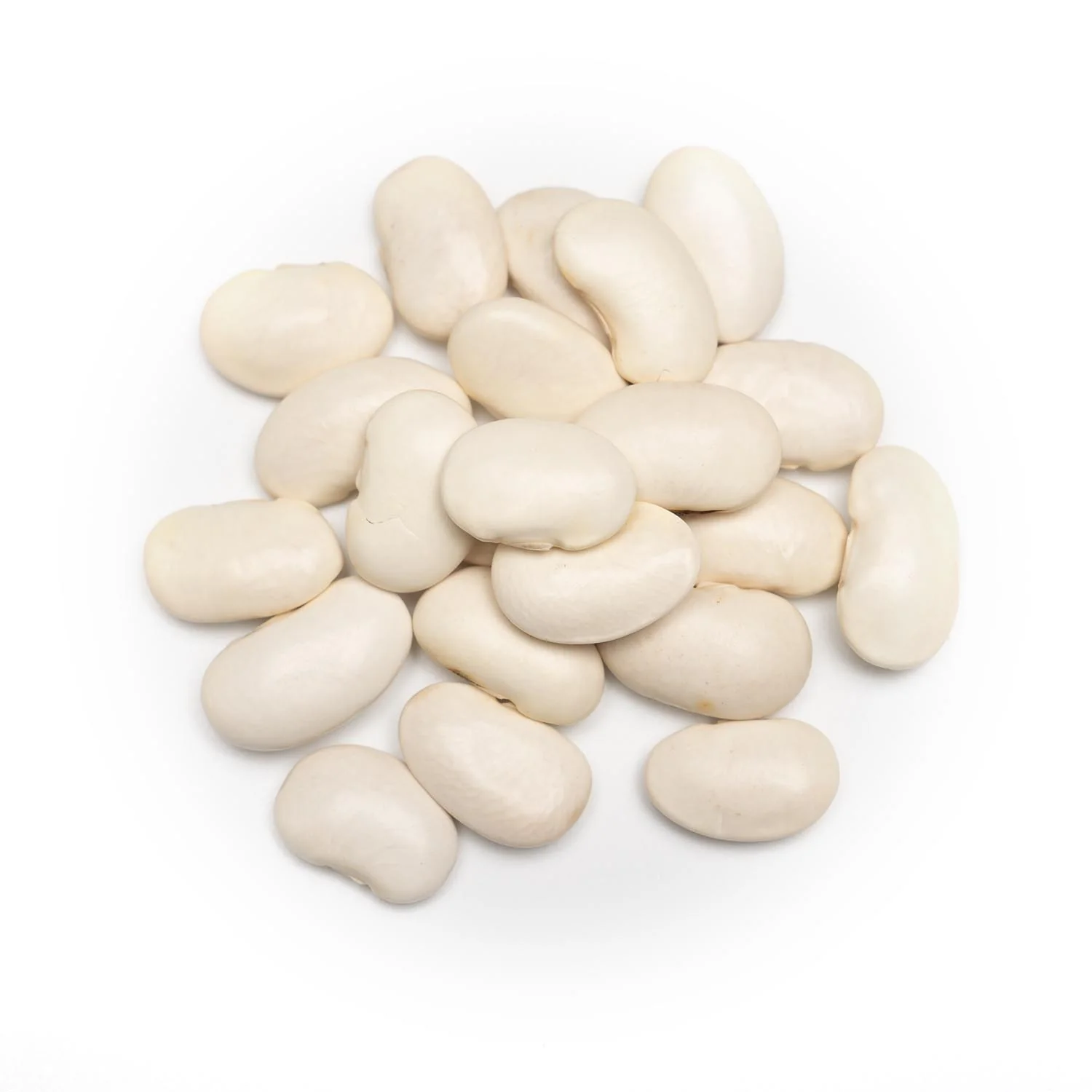 Butter Beans Price in Chennai, double beans, per kg, rate, market, vegetable, wholesale