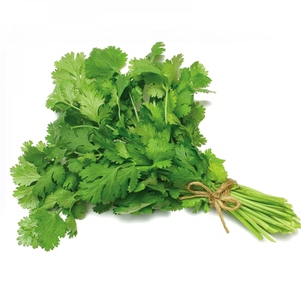 Coriander Leaves Price in Chennai, kothamalli, per kg, rate, market, vegetable, wholesale