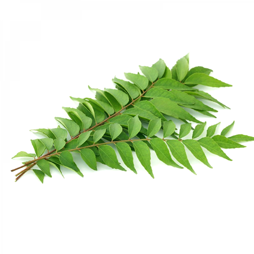 Curry Leaves Price in Chennai, karivepillai, per kg, rate, market, vegetable, wholesale