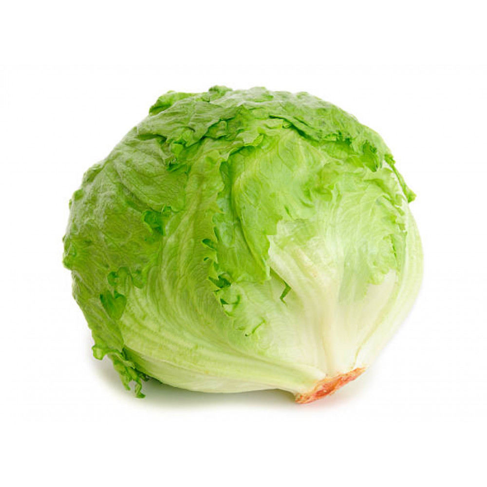 Lettuce Iceberg Price in Chennai, ilaikosu, per kg, rate, market, vegetable, wholesale