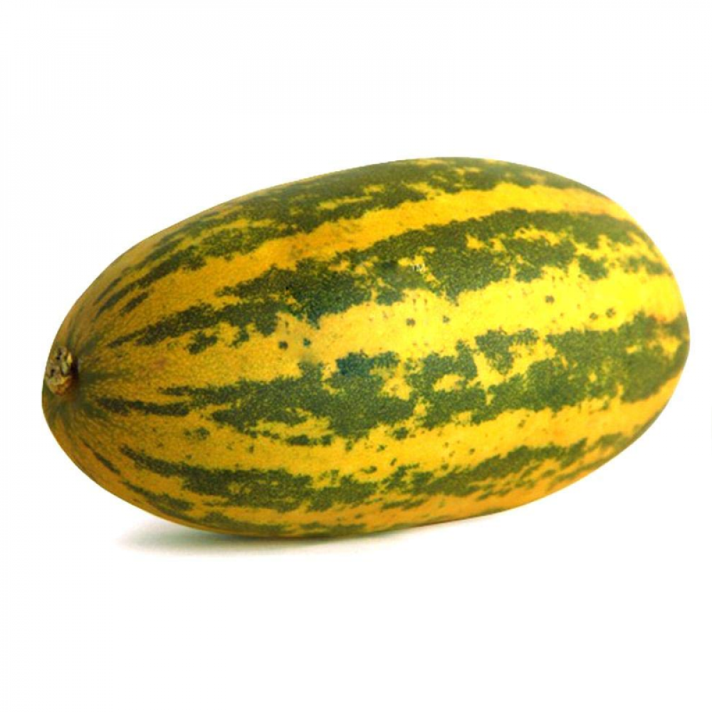 Malabar Cucumber Price in Chennai, malai vellari, per kg, rate, market, vegetable, wholesale