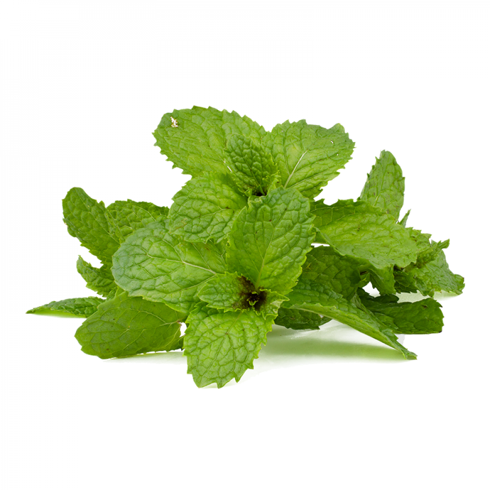 Mint Leaves Price in Chennai, puthina, per kg, rate, market, vegetable, wholesale