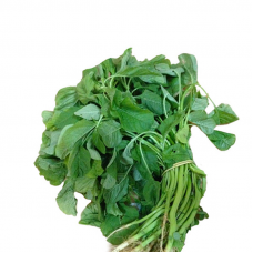 Mulaikeerai Price in Chennai, rate, market price, vegetable, wholesale