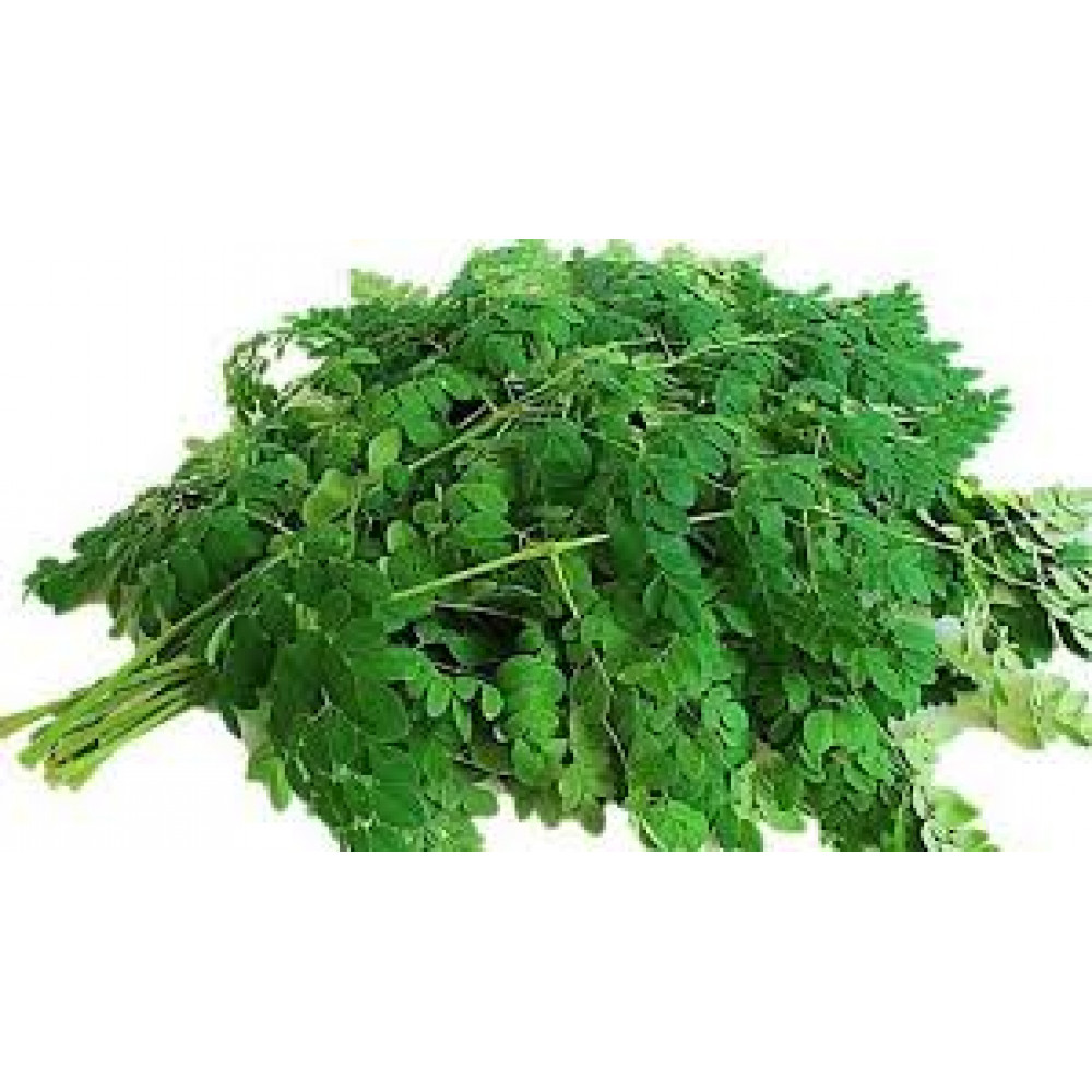 Moringa Leaves Price in Chennai, murunga keerai, per kg, rate, market, vegetable, wholesale