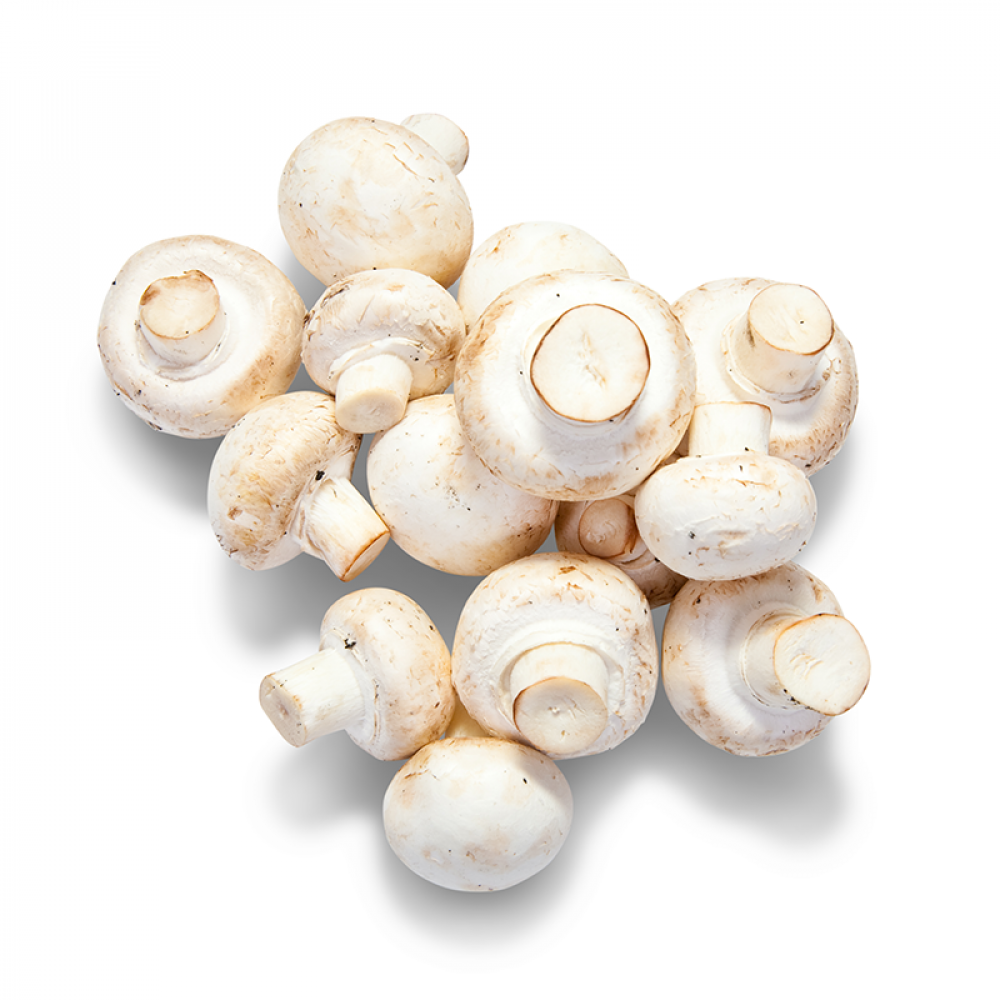 Mushroom Price in Chennai, button Mushroom, kaalan, per kg, rate, market, vegetable, wholesale