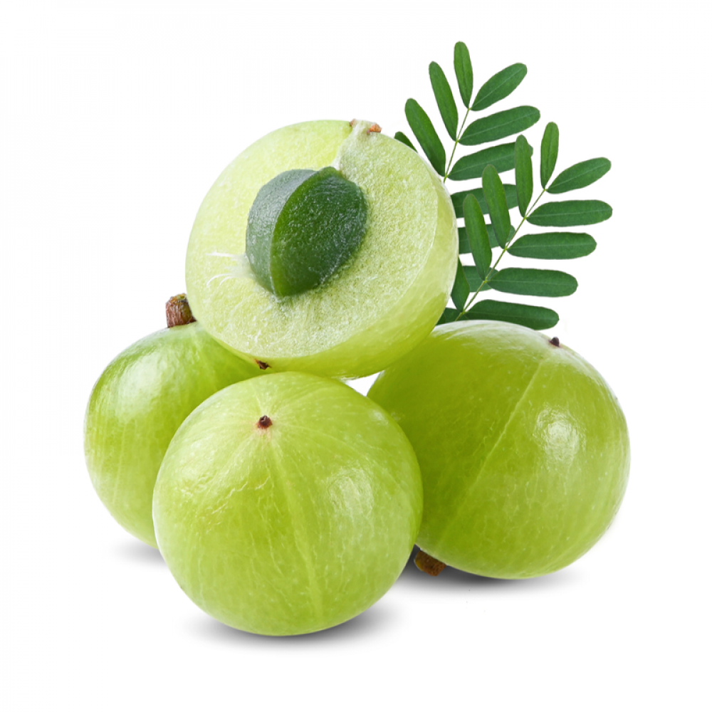 Amla Price in Chennai, Nellikai price in chennai, per kg, rate, market, wholesale, vegetable