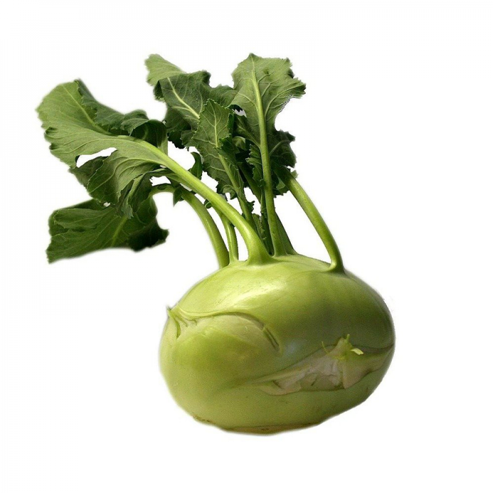 Kohlrabi Price in Chennai, Noolkol, per kg, rate, market, vegetable, wholesale
