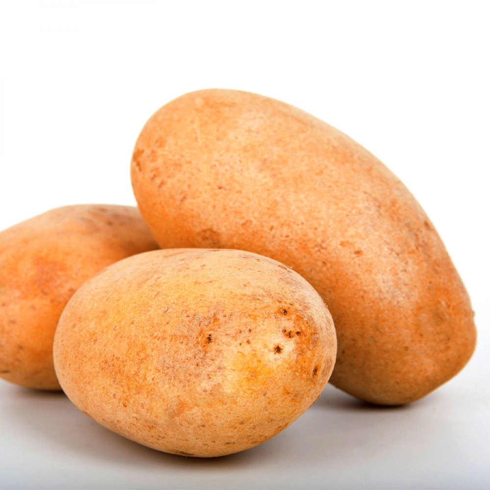 Potato Price in Chennai, urulaikilangu, per kg, rate, market, vegetable, wholesale