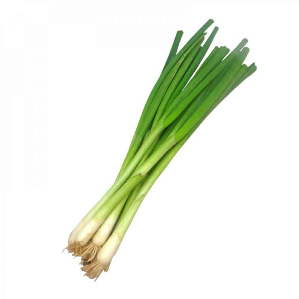 Spring Onion Price in Chennai, per kg, rate, market, vegetable, wholesale