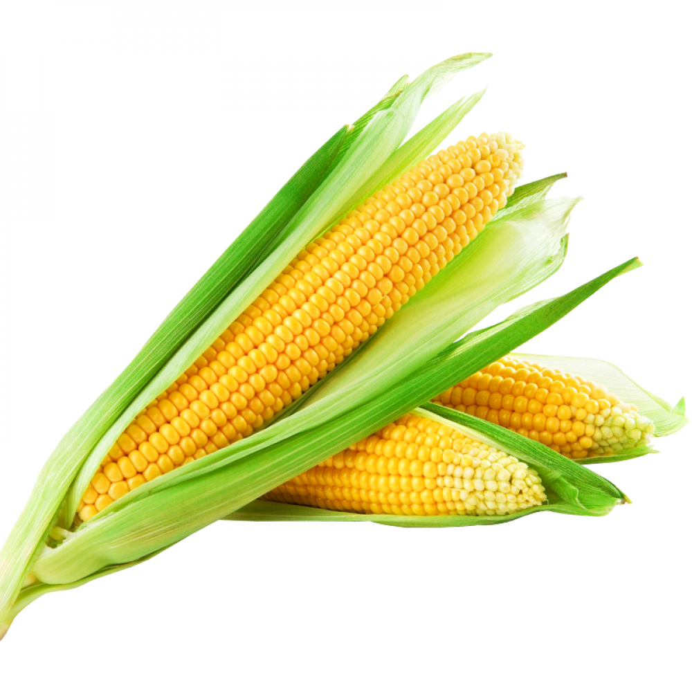 Sweet Corn Price in Chennai, per kg, rate, market, vegetable, wholesale